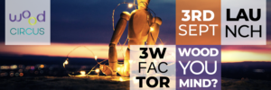 3W factor