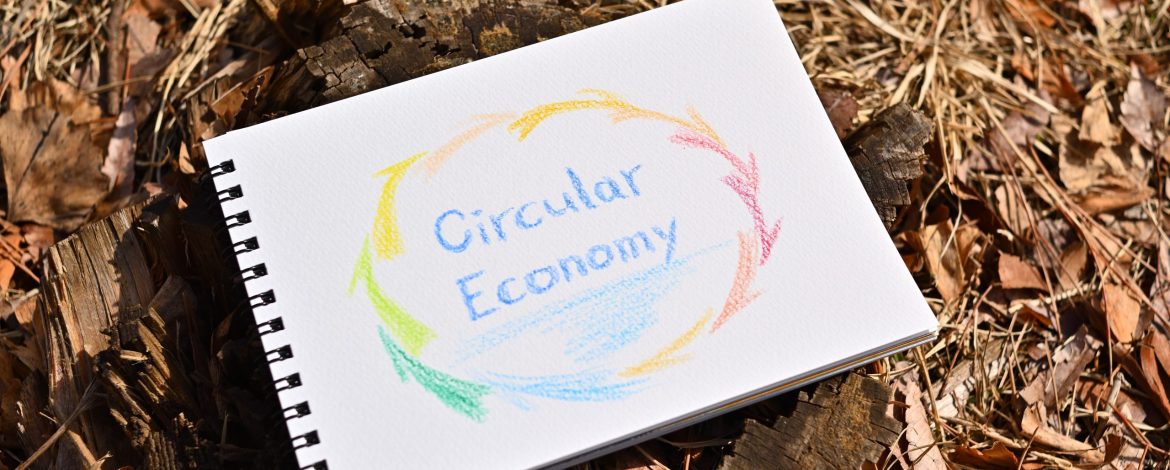 The commentaly words of "Circular Economy" on sketchbook. It is on wood stump.