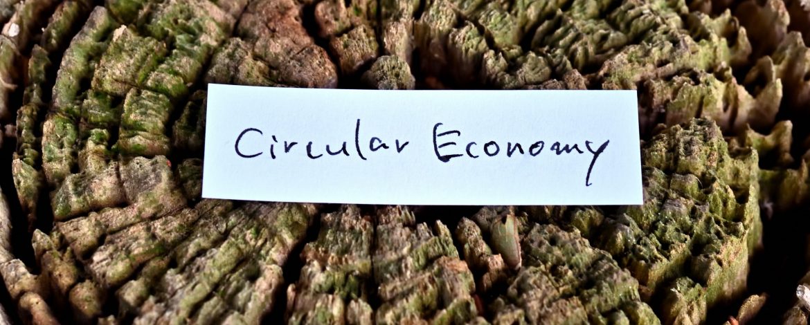 A sticky note reading "Circular Economy" is taped to a decaying tree stump.