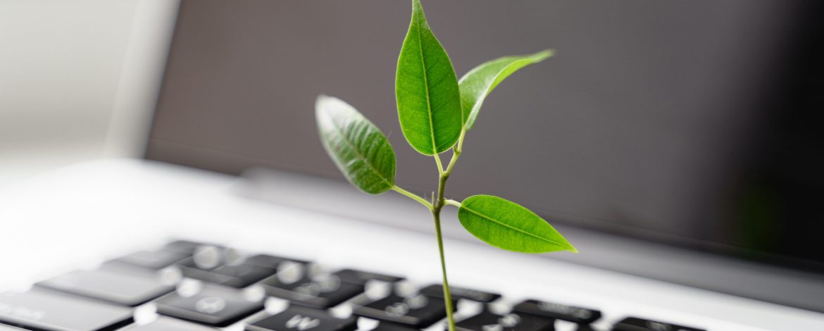 Laptop keyboard with plant growing on it. Green IT computing concept. Carbon efficient technology. Digital sustainability . High quality photo